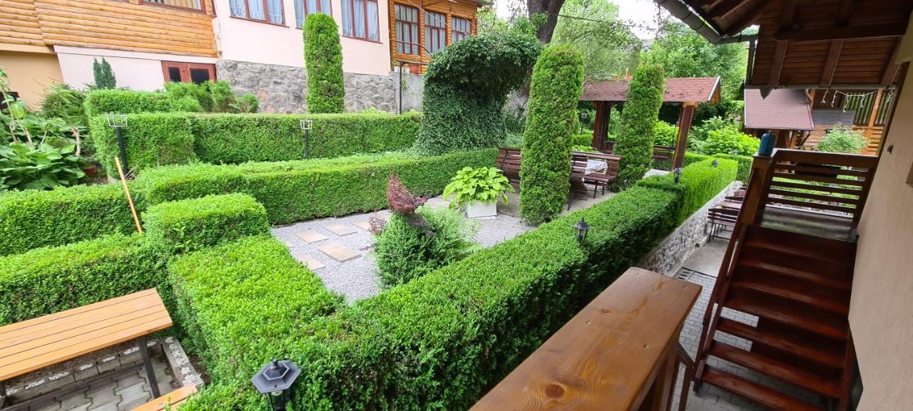 Отель Casa Edy Совата Экстерьер фото