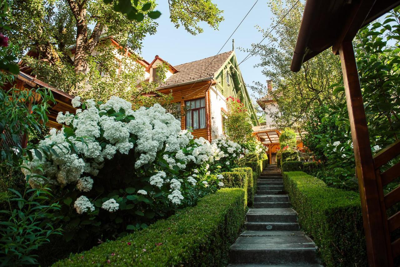 Отель Casa Edy Совата Экстерьер фото