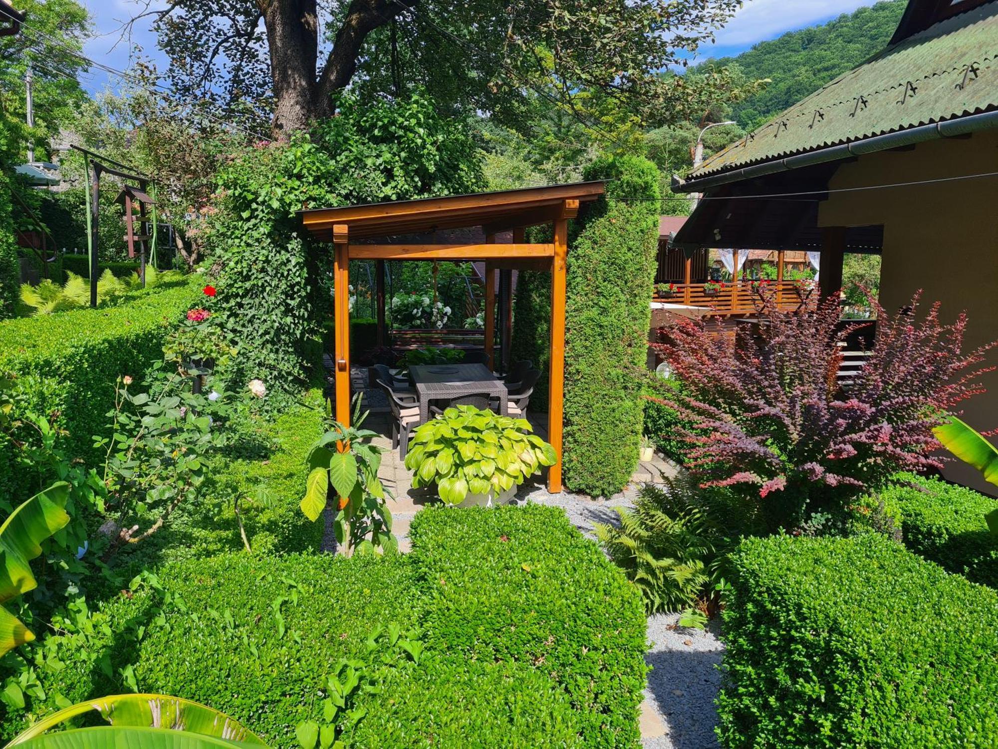 Отель Casa Edy Совата Экстерьер фото